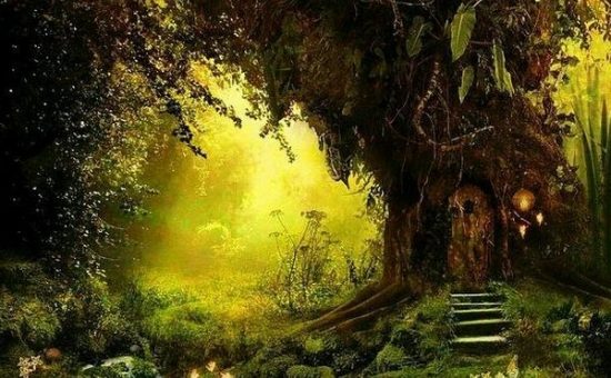 Гадания при помощи деревьев