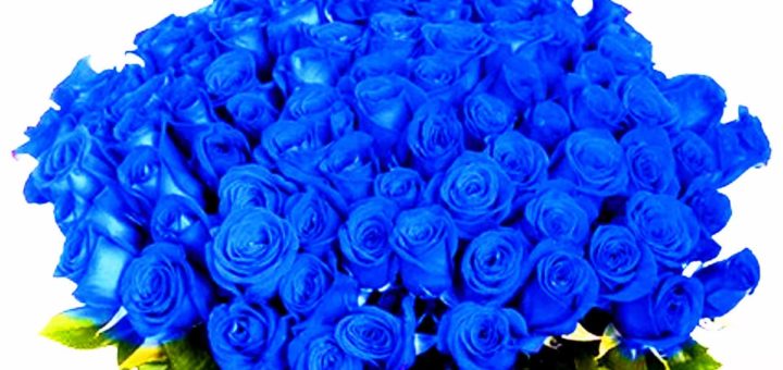 К чему снится во сне синий цвет, толкование по Миллеру и другим сонникам