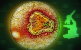 Вирус MERS - ближневосточный респираторный синдром