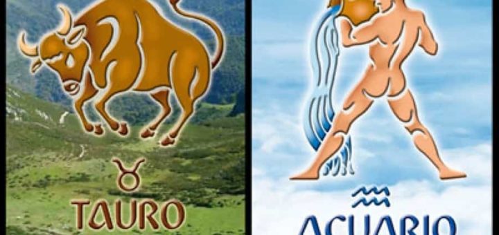 Насколько удачной будет совместимости между Тельцом и Водолеем