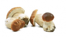 Приметы о грибах