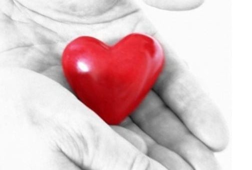 Совместимость Льва и Овна - причины конфликтов