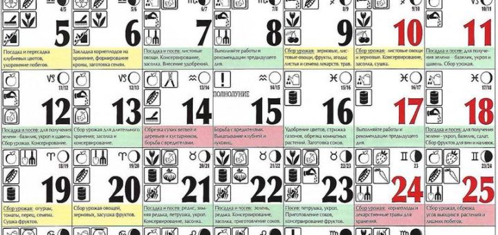 Лунный посевной календарь на август 2019 года