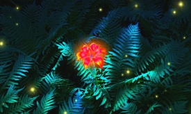 Ивана Купала 2018 - гадания, приметы, обычаи, традиции