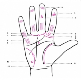 Как узнать экстрасенса по ладони