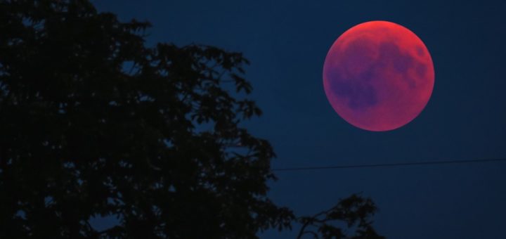 Лунные и солнечные затмения в 2019 году