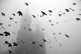 Птицы, предвещающие смерть