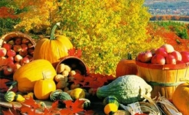 Праздник урожая: особенности и традиции