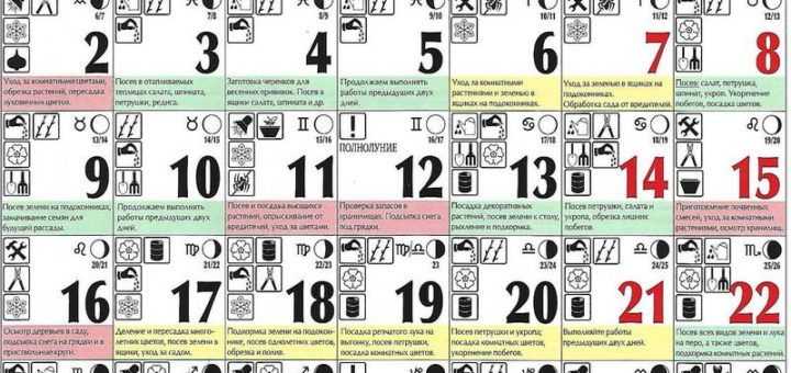 Лунный посевной календарь на декабрь 2019 года