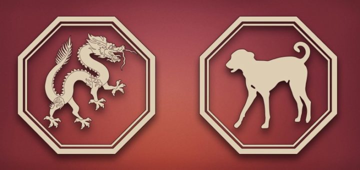 Обзор любовной совместимости между Драконом и Собакой