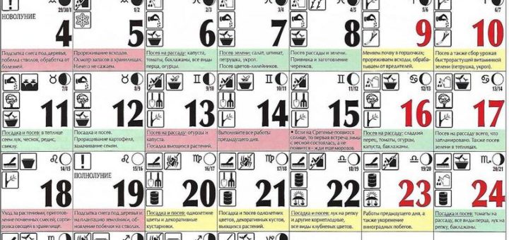 Лунный посевной календарь на февраль 2019 года