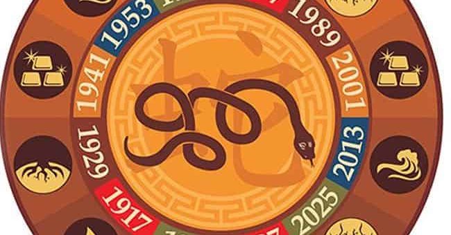 Год Змеи: какие года рождения, характеристика знака