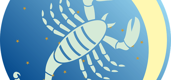 Гороскоп для Скорпиона на Ноябрь 2019 года - деньги, бизнес и карьера