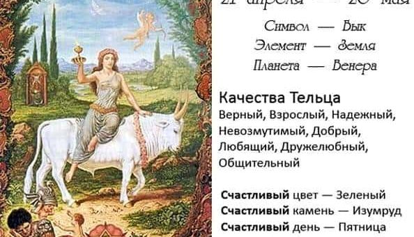 Телец мужчина - характеристика в быту, любви и браке