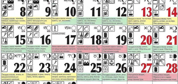 Лунный посевной календарь на июль 2019 года