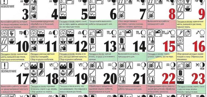 Лунный посевной календарь на июнь 2019 года