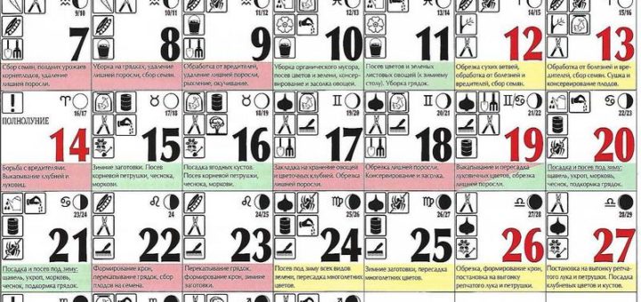 Лунный посевной календарь на октябрь 2019 года