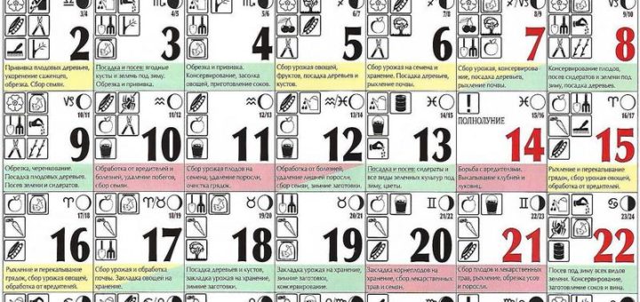 Лунный посевной календарь на сентябрь 2019 года