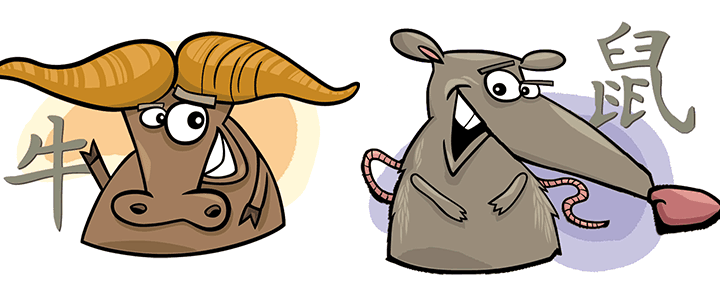 Совместимость Быка и Крысы - причины конфликтов