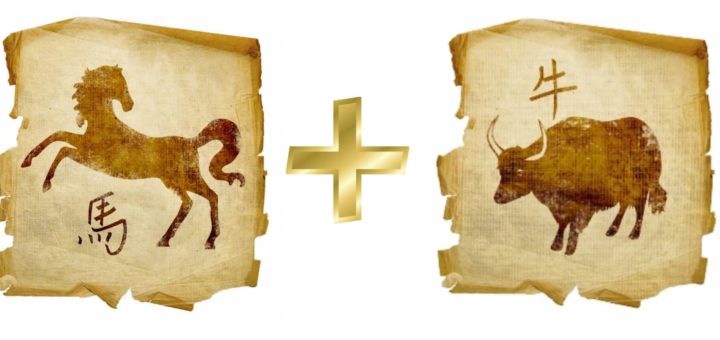 Совместимость Быка и Лошади