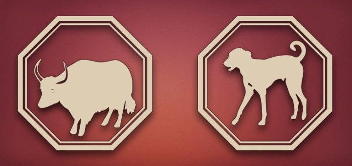 Совместимость Быка и Собаки