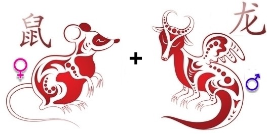 Совместимость Дракона и Крысы