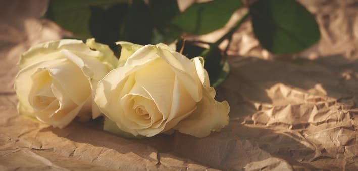 Совместимость Козерога и Водолея - причины конфликтов