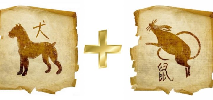 Совместимость Крысы и Собаки - проблемы в отношениях