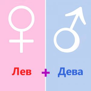 Совместимость Льва и Девы - причины конфликтов