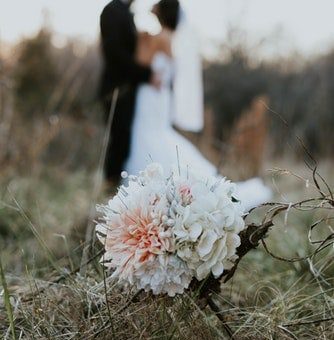 Совместимость Льва и Рыб - причины конфликтов