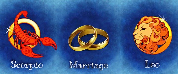 Совместимость Льва и Скорпиона - конфликты и отношения