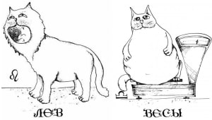 Совместимость Льва и Весов - причины конфликтов