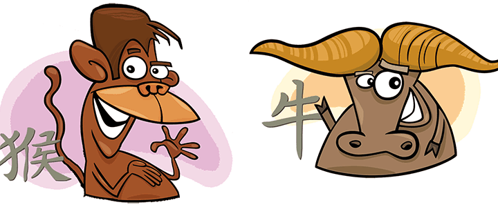 Совместимость Обезьяны и Быка