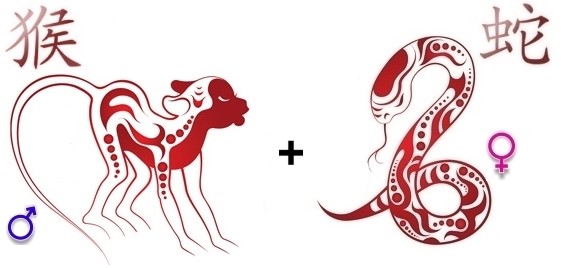 Совместимость Обезьяны и Змеи