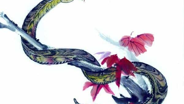 Совместимость Петуха и Змеи