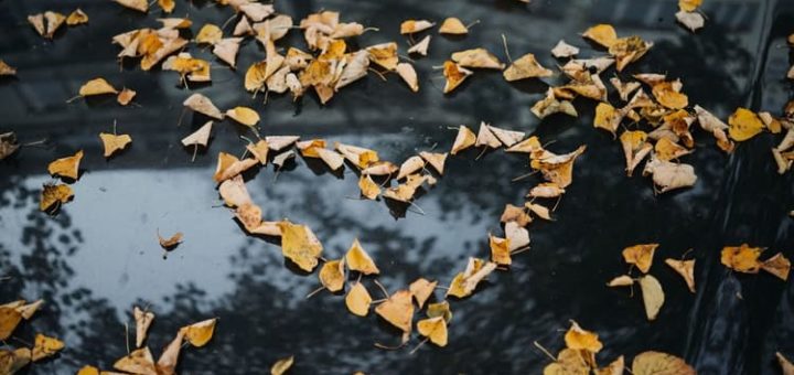 Совместимость Скорпиона и Девы - причины конфликтов