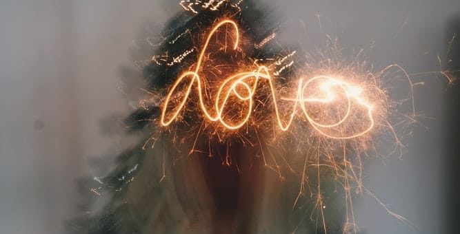 Совместимость Скорпиона и Льва - причины конфликтов и разногласий