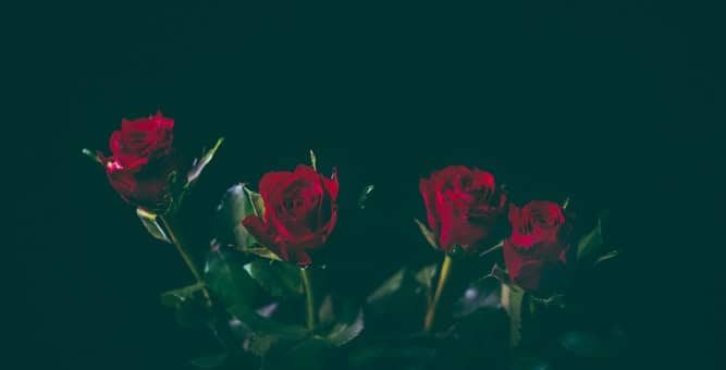 Совместимость Скорпиона и Тельца - причины конфликтов