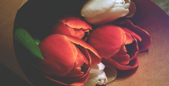 Совместимость Стрельца и Девы - причины конфликтов