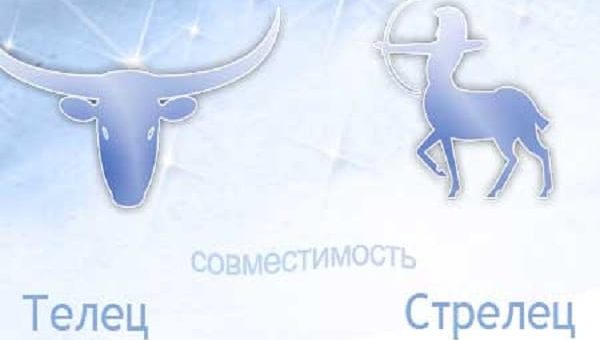 Совместимость Телец-Стрелец: что необходимо для гармоничного союза
