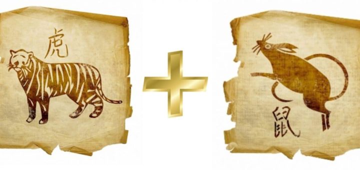 Совместимость Тигра и Крысы