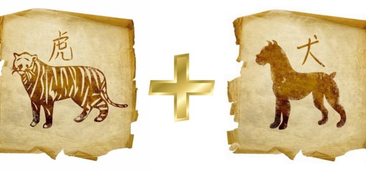 Совместимость Тигра и Собаки