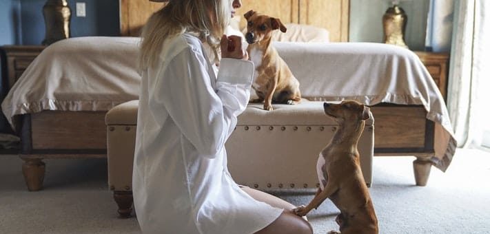 Совместимость Весов с Весами - причины конфликтов