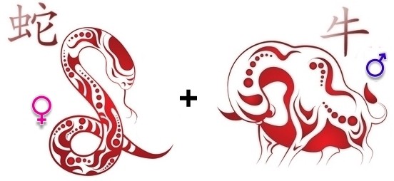 Совместимость Змеи и Быка