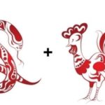 Совместимость Змеи и Петуха