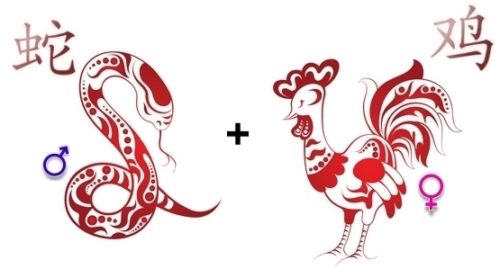 Совместимость Змеи и Петуха