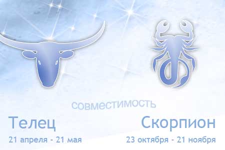 Совместимость Телец-Скорпион: дружба и партнерство, брачные отношения