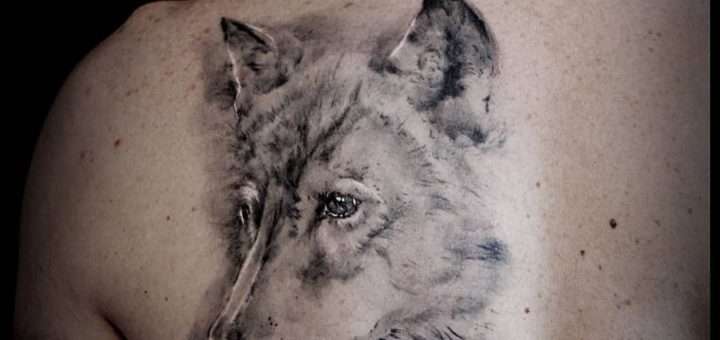 Тату волка: значение для парней и девушек
