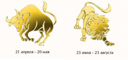 Совместимость Телец-Лев: союз противоположностей