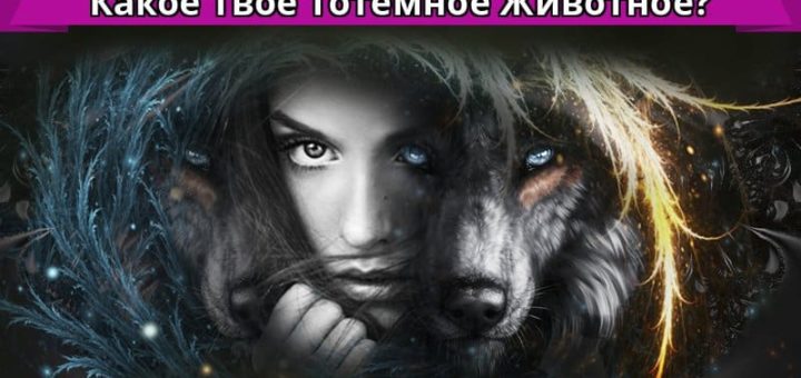 Тест на тотемное животное – как найти своего покровителя